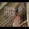 拉米莎·纳瓦尔
