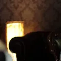 薇拉·黛