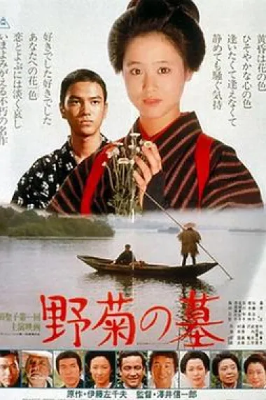 野菊之墓 下载