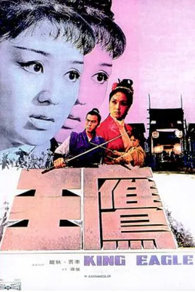 鹰王 下载