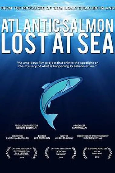 Atlantic Salmon: Lost at Sea 下载