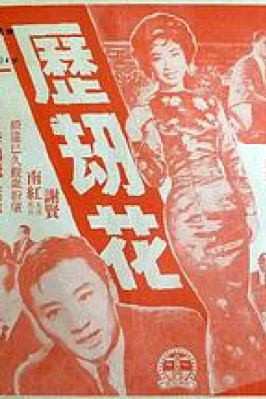 历劫花 下载