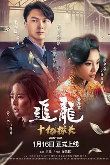 追龙番外篇之十亿探长 2160P 4K 下载