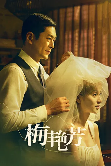 梅艳芳 2160P 4K 下载