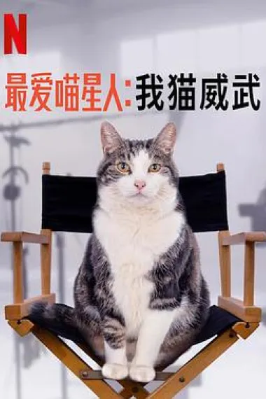 最爱喵星人：我猫威武 下载