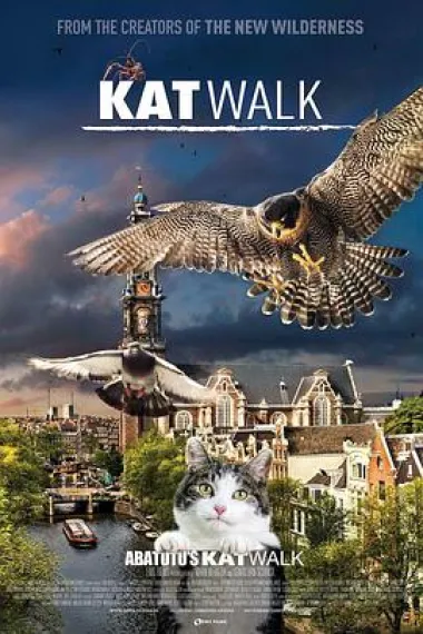 阿姆斯特丹猫未眠 下载