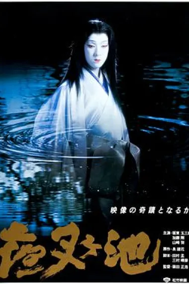 夜叉池 2160P 4K 下载