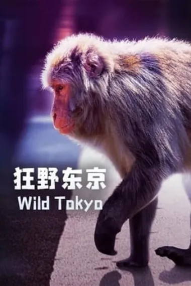 狂野东京 下载