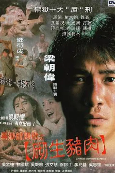黑狱断肠歌之砌生猪肉 2160P 4K 下载