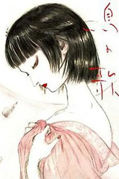 鸟之歌 下载