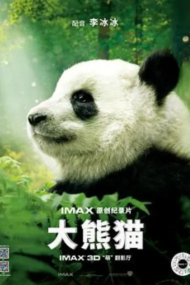 大熊猫 2160P 4K 下载