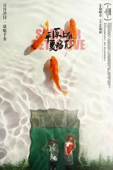 平原上的夏洛克 2160P 4K 下载