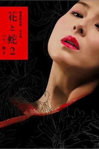 花与蛇2：巴黎/静子 下载