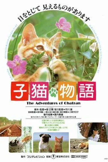 小猫的故事 下载