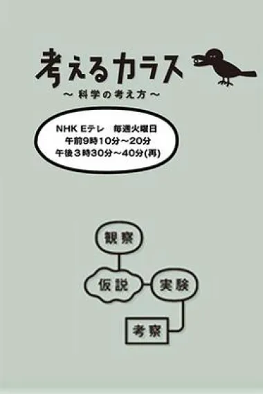 像乌鸦一样思考 下载