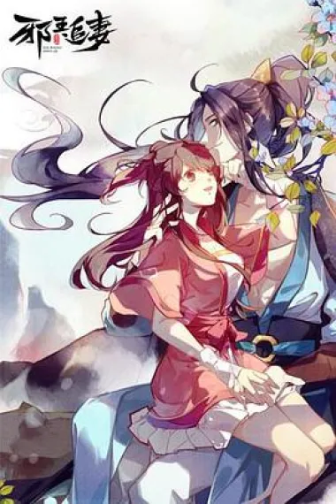 邪王追妻 下载