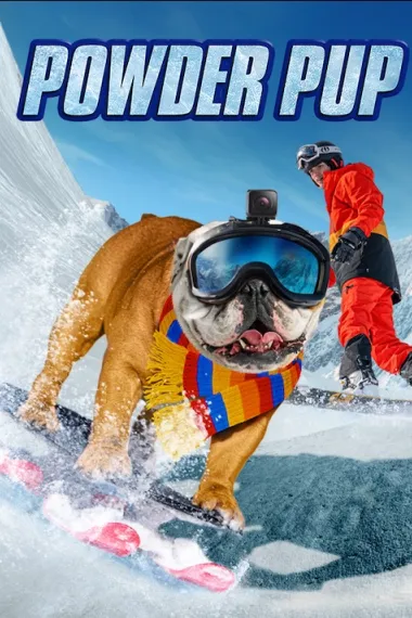 网红狗 下载