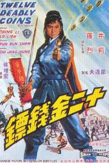 十二金钱镖 下载