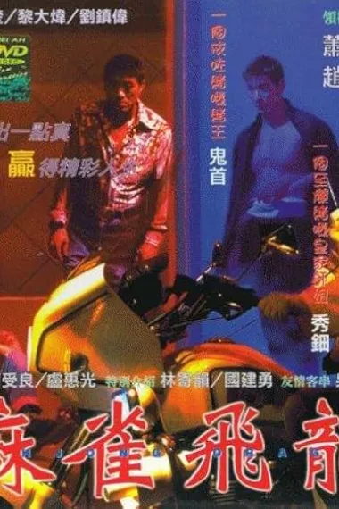 麻雀飞龙 下载