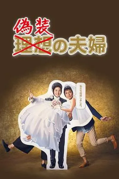 伪装夫妇 下载