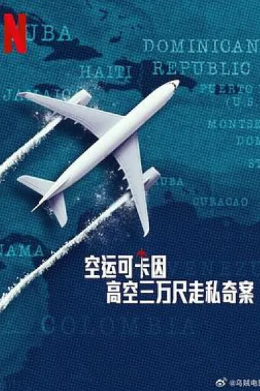 空运可卡因:高空三万尺走私奇案 2160P 4K 杜比视界 下载