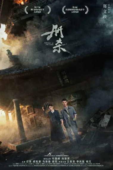 册杀 2160P 4K 下载