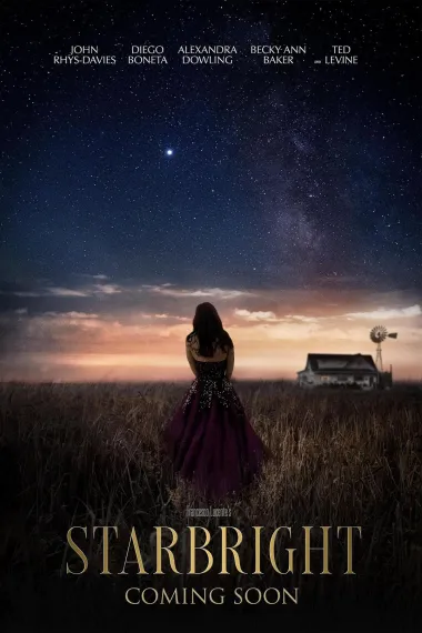 星光 2160P 4K 下载