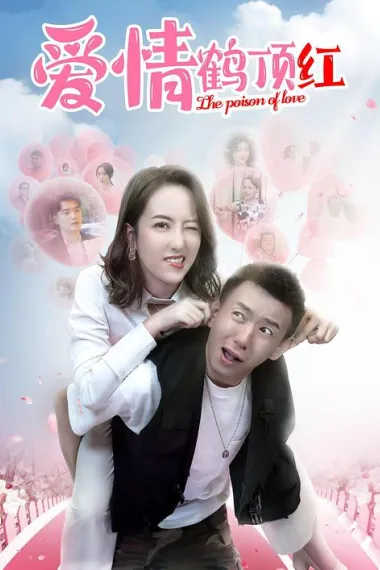 爱情鹤顶红 2160P 4K 下载